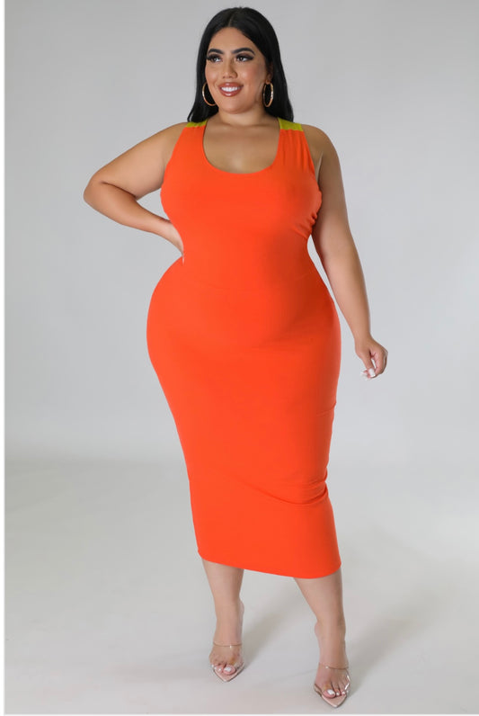Penny Spring Dress